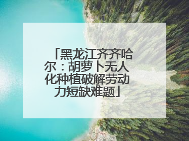 黑龙江齐齐哈尔：胡萝卜无人化种植破解劳动力短缺难题