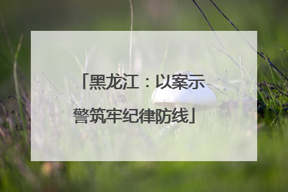 黑龙江：以案示警筑牢纪律防线