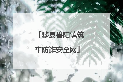 黟县碧阳镇筑牢防诈安全网