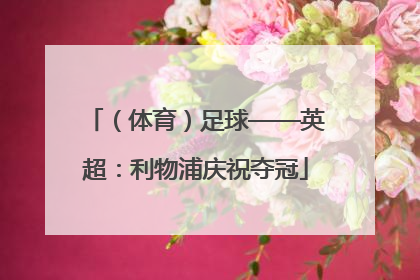 （体育）足球——英超：利物浦庆祝夺冠