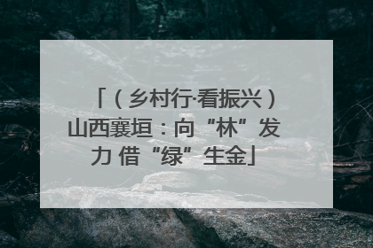 （乡村行·看振兴）山西襄垣：向“林”发力 借“绿”生金