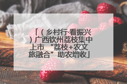 （乡村行·看振兴）广西钦州荔枝集中上市 “荔枝+农文旅融合”助农增收