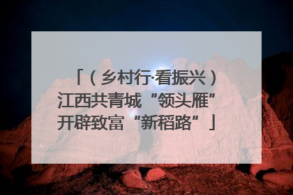 （乡村行·看振兴）江西共青城“领头雁”开辟致富“新稻路”