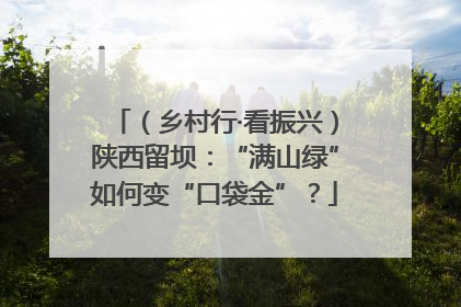 （乡村行·看振兴）陕西留坝：“满山绿”如何变“口袋金”？