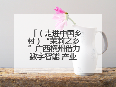 （走进中国乡村）“茉莉之乡”广西横州借力数字智能 产业升级香飘海外