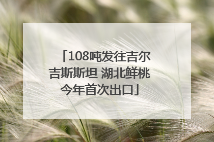 108吨发往吉尔吉斯斯坦 湖北鲜桃今年首次出口
