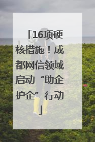 16项硬核措施！成都网信领域启动“助企护企”行动