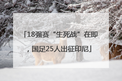 18强赛“生死战”在即，国足25人出征印尼