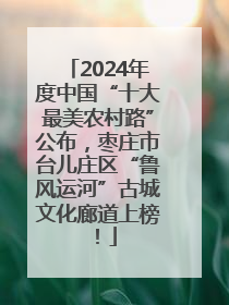2024年度中国“十大最美农村路”公布，枣庄市台儿庄区“鲁风运河”古城文化廊道上榜！