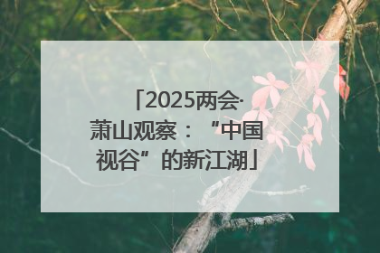 2025两会·萧山观察：“中国视谷”的新江湖