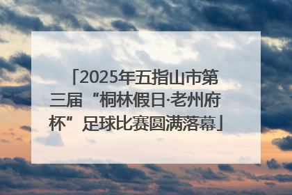 2025年五指山市第三届“桐林假日·老州府杯”足球比赛圆满落幕