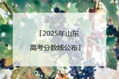 2025年山东高考分数线公布