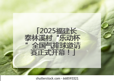 2025福建长泰林溪村“乐动杯”全国气排球邀请赛正式开幕！