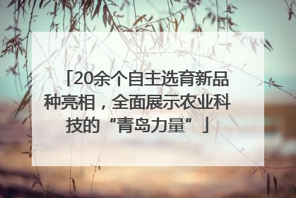20余个自主选育新品种亮相，全面展示农业科技的“青岛力量”