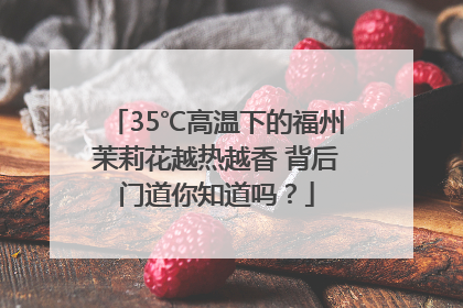 35℃高温下的福州茉莉花越热越香 背后门道你知道吗？