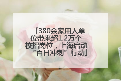380余家用人单位带来超1.2万个校招岗位，上海启动“百日冲刺”行动