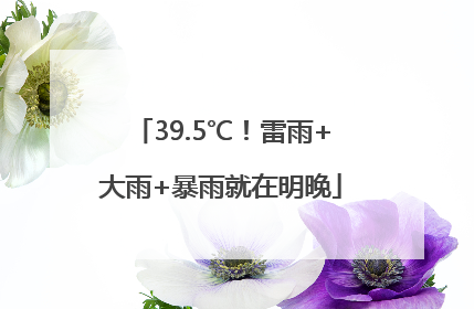 39.5℃！雷雨+大雨+暴雨就在明晚