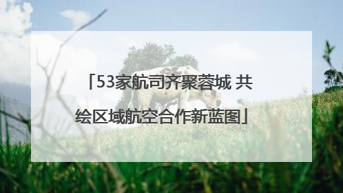 53家航司齐聚蓉城 共绘区域航空合作新蓝图