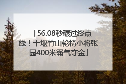 56.08秒碾过终点线！十堰竹山轮椅小将张园400米霸气夺金