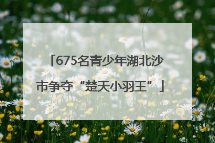675名青少年湖北沙市争夺“楚天小羽王”