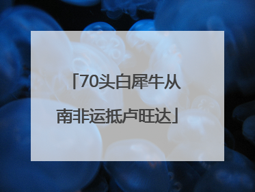 70头白犀牛从南非运抵卢旺达
