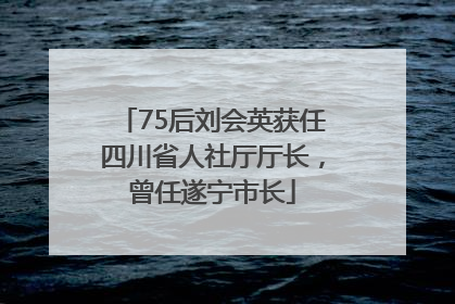 75后刘会英获任四川省人社厅厅长，曾任遂宁市长