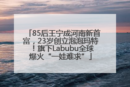 85后王宁成河南新首富，23岁创立泡泡玛特！旗下Labubu全球爆火“一娃难求”