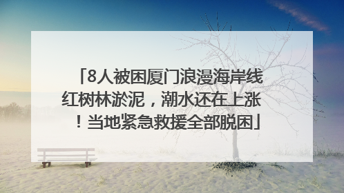 8人被困厦门浪漫海岸线红树林淤泥，潮水还在上涨！当地紧急救援全部脱困