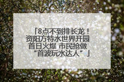 8点不到排长龙！资阳方特水世界开园首日火爆 市民抢做“首波玩水达人”