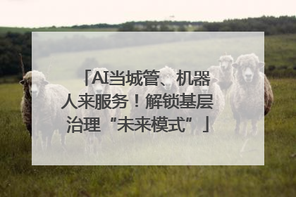AI当城管、机器人来服务！解锁基层治理“未来模式”