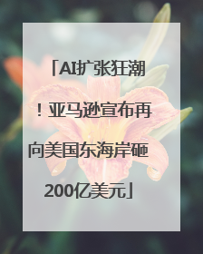 AI扩张狂潮！亚马逊宣布再向美国东海岸砸200亿美元