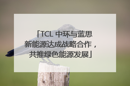 TCL 中环与蓝思新能源达成战略合作，共推绿色能源发展