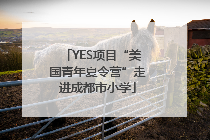 YES项目“美国青年夏令营”走进成都市小学